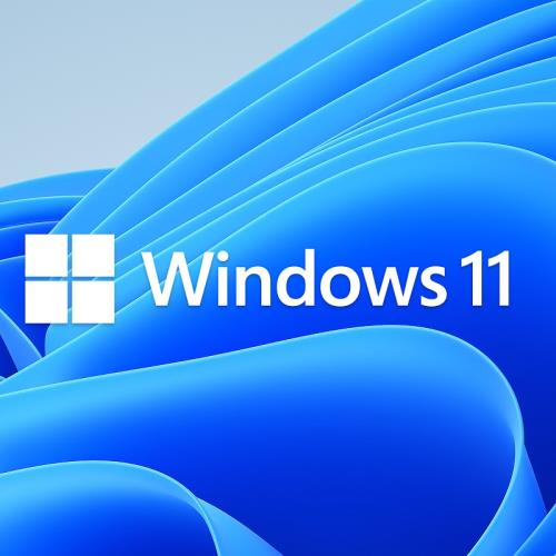 WINDOWS 11 PRO OEM 64BIT İngilizce FQC-10528
